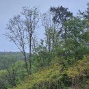 21세기길약국 이미지