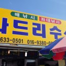 충남 홍성군 서부면 남당리/ "나드리수산 "/ 대하 이미지