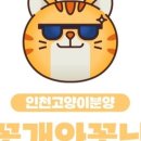 고양이분양 꽃개와 꽃냥 인천 청라점 이미지