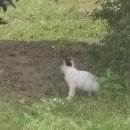 천수노래방 | 11월, 아무것도 안했어요...그냥 놀았어요