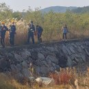 장선포1 이미지