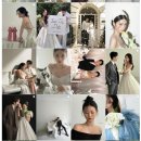 타임레스엠 | 웨딩스튜디오 고민 끝? 비포원·부겐빌리아·세미앙·클레이앤클레어 비교 정리 💍