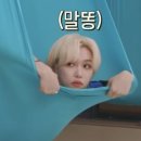 승철이네칼국수 네이버블로그