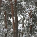 수산리-17 이미지