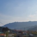 엄마손회관뷔페 이미지