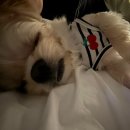 봉곡로-13 | 2026. 1월-1 뚠디세상