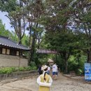 국가대표 당찬아이(i)태권도 | 9월 주말에는 민속촌에서 보부상이 되어보는 건 어떨까요 | 한복남 보부상 대여, 생일 할인, 국밥, 주차