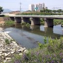 검암체육공원 이미지