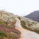 대화농장 이미지