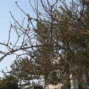 신이화약국 이미지