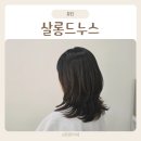 광주미용실 - 강진군 | 경기광주 미용실 살롱드누스 커트 펌 후기 지수 디자이너
