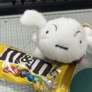 사쿠사쿠지산점 | 바쁘다 바빠 현대사회