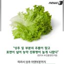 꽁다리