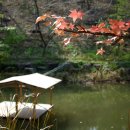 경상남도 수목원 이미지