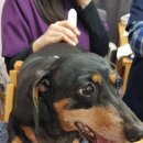 우람동물병원 이미지