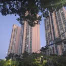 대산2차 아파트 앞 횡단보도2 | 잠원동 롯데캐슬갤럭시1차 총정리, 역사·주차·커뮤니티·실거래가·2차 비교