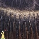 모아 붙임머리 네이버블로그