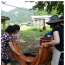 봉양중학교 이미지