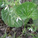 봄소아청소년과의원 이미지