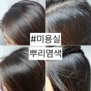 동인천 미용실 본비반트헤어 신포점 뿌리염색 내돈내산 후기 (feat.셀프염색)