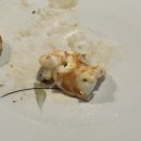 코하마 | [의정부/민락동]코하마 의정부-철판 코스 요리 내돈내산 후기