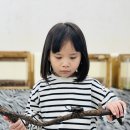 더프렌즈) 장수풍뎅이와 사슴벌레🪲1 이미지