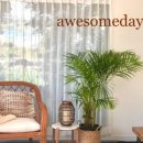 애월담아 이미지