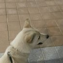 주경야덕 | [주간일기 챌린지]2022.07.11~07.17