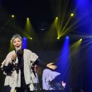 이은미 라이브 투어 녹턴 이미지