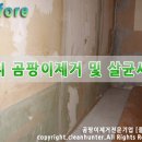 곰팡이헌터 이미지