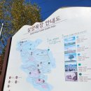 구령목장 | 삼양목장 삼양라운드힐 영업시간, 주소, 주차장, 소요시간, 양몰이 공연, 입장료, 티켓 네이버예약 할인...