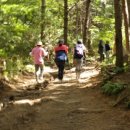 푸른숲요양병원 이미지