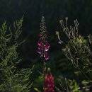 골프존파크매촌나이스스크린 이미지