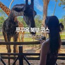 한국지엠양산바로서비스 | 푸꾸옥 그랜드월드 빈원더스 사파리 입장권 가격 비교 후기