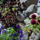 래빗키즈풀빌라 이미지