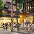 가로수길 이미지