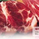 돈나라우나라 이미지