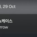 복복케이스