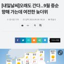 [내일날씨] 9월 중순 향해 가는데 여전한 늦더위 이미지