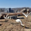 산정마을 농로 이미지