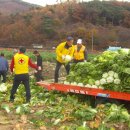 뽑기사랑 이미지