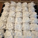 까미컴퍼니 이미지