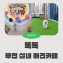 소사생태길(파쇄장 근처) | 시흥 부천 실내애견카페 추천 똑독 첫방문에 만족했어요