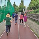 사랑해차의원 이미지