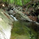 원창5리 이미지