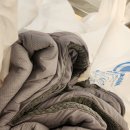 푸른셀프워시 이미지