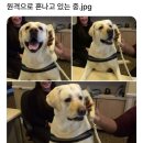 잘자