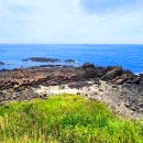 양남주상절리 이미지