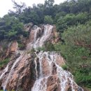 양금농장 이미지