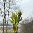 원순농장 이미지